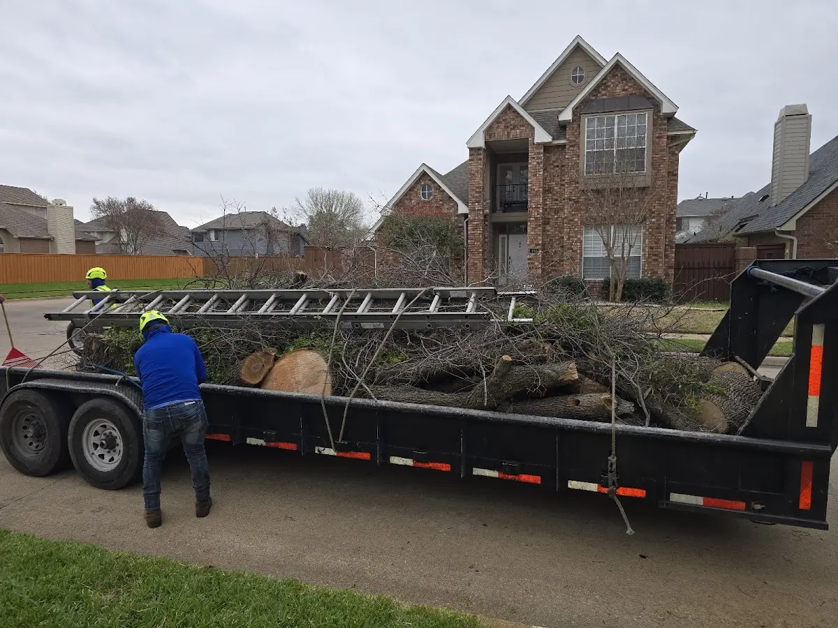 Expert Lot Clearing with proper safety equipment in Ramona